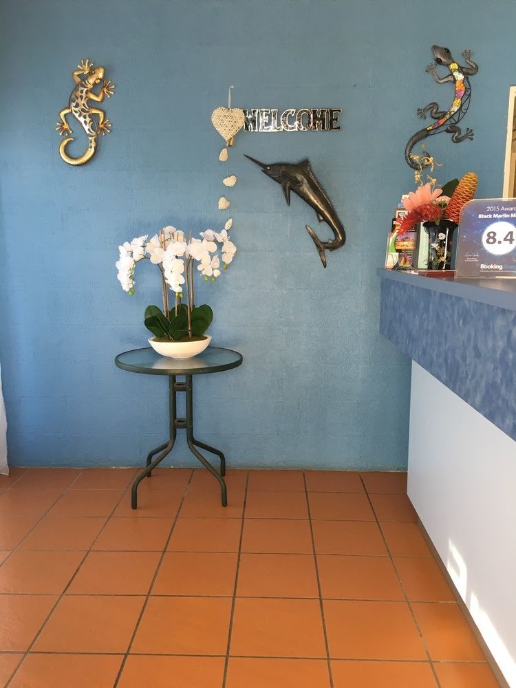 Black Marlin Motel Иннисфейл Экстерьер фото